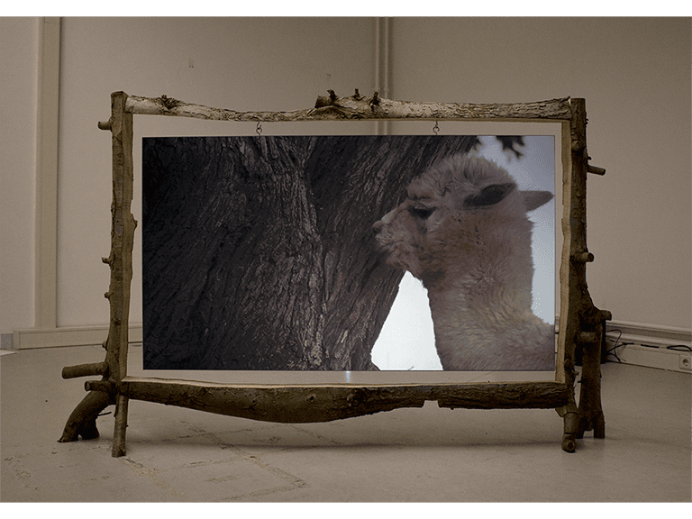 Bobby Bear Back Goes Fisching